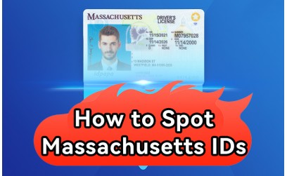 ✓ How to Spot Massachusetts IDs