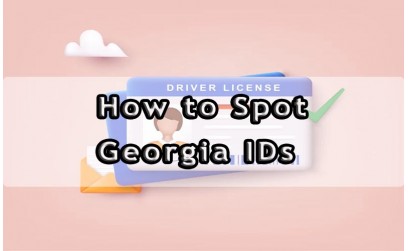 ✓ How to Spot Georgia IDS