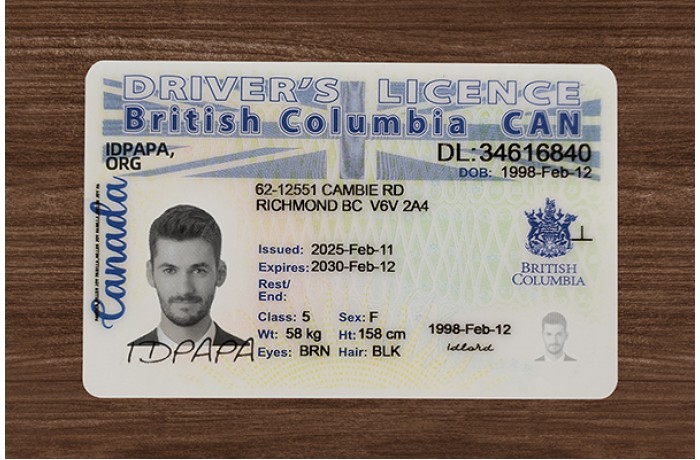 British Columbia Driver’s Licence (2025 Version)