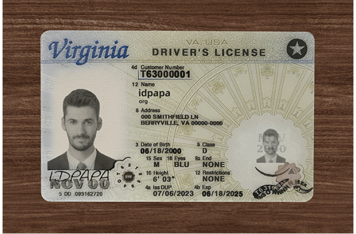 Virginia ID(2025 Version)