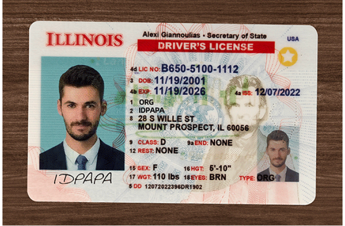 Illinois Fake ID