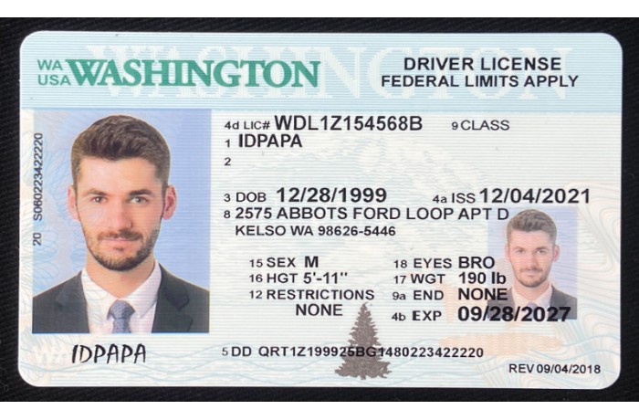 Washington Fake ID
