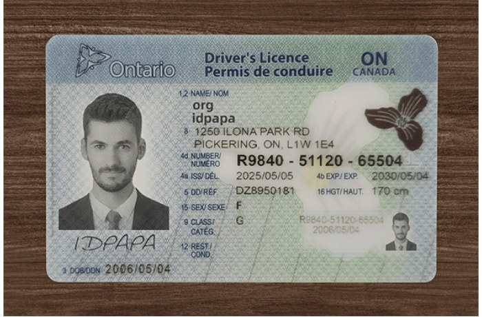 Ontario Fake ID (upgrade version)