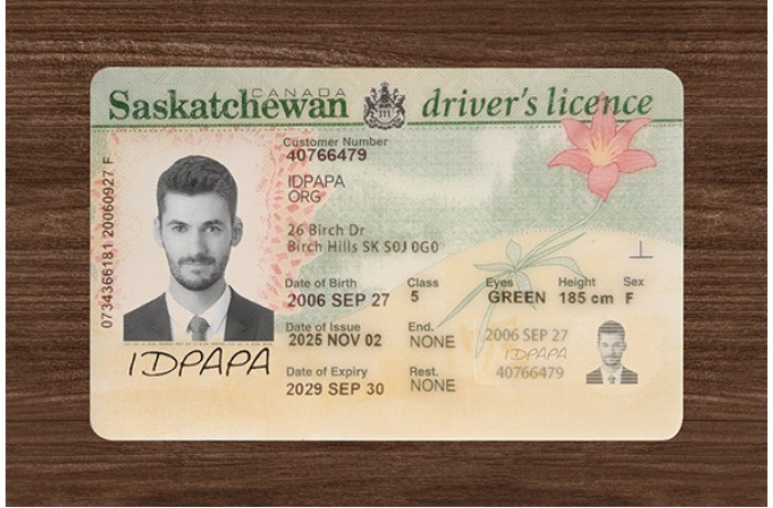 Saskatchewan Scannable Driver’s Licence