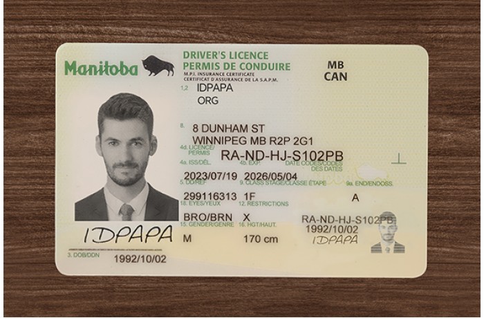 Manitoba Driver’s Licence