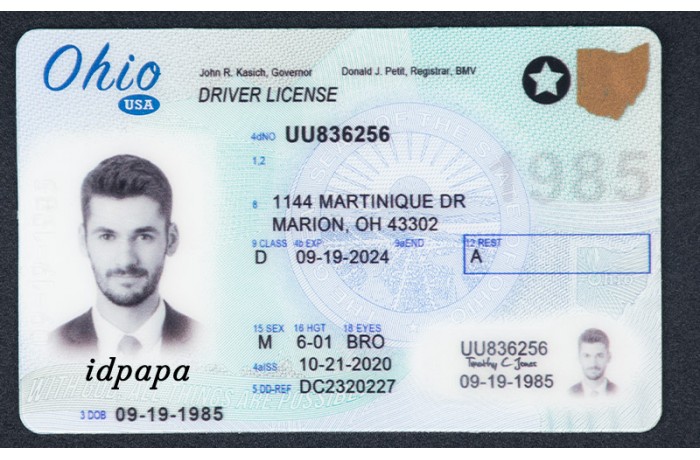 Ohio novelty driver license with photo ID, labeled IDPAPA for entertainment use
