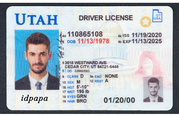 Utah novelty driver license with photo ID, labeled IDPAPA for entertainment use