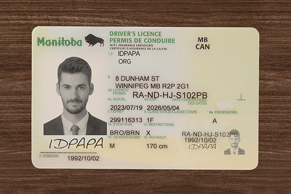 Manitoba Driver’s Licence